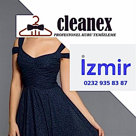 Kadın Elbise Temizleme