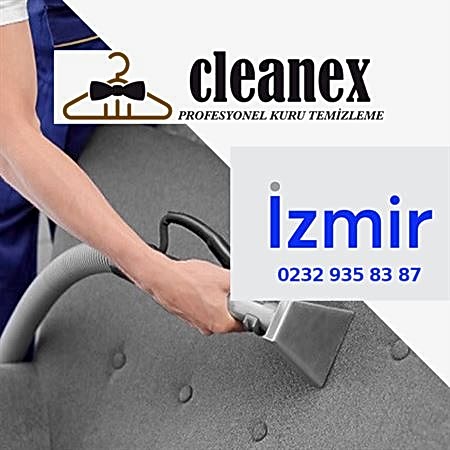 Koltuk Yıkama İzmir